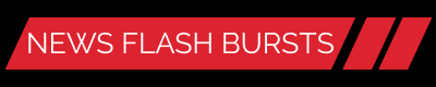 newsflashburst com
