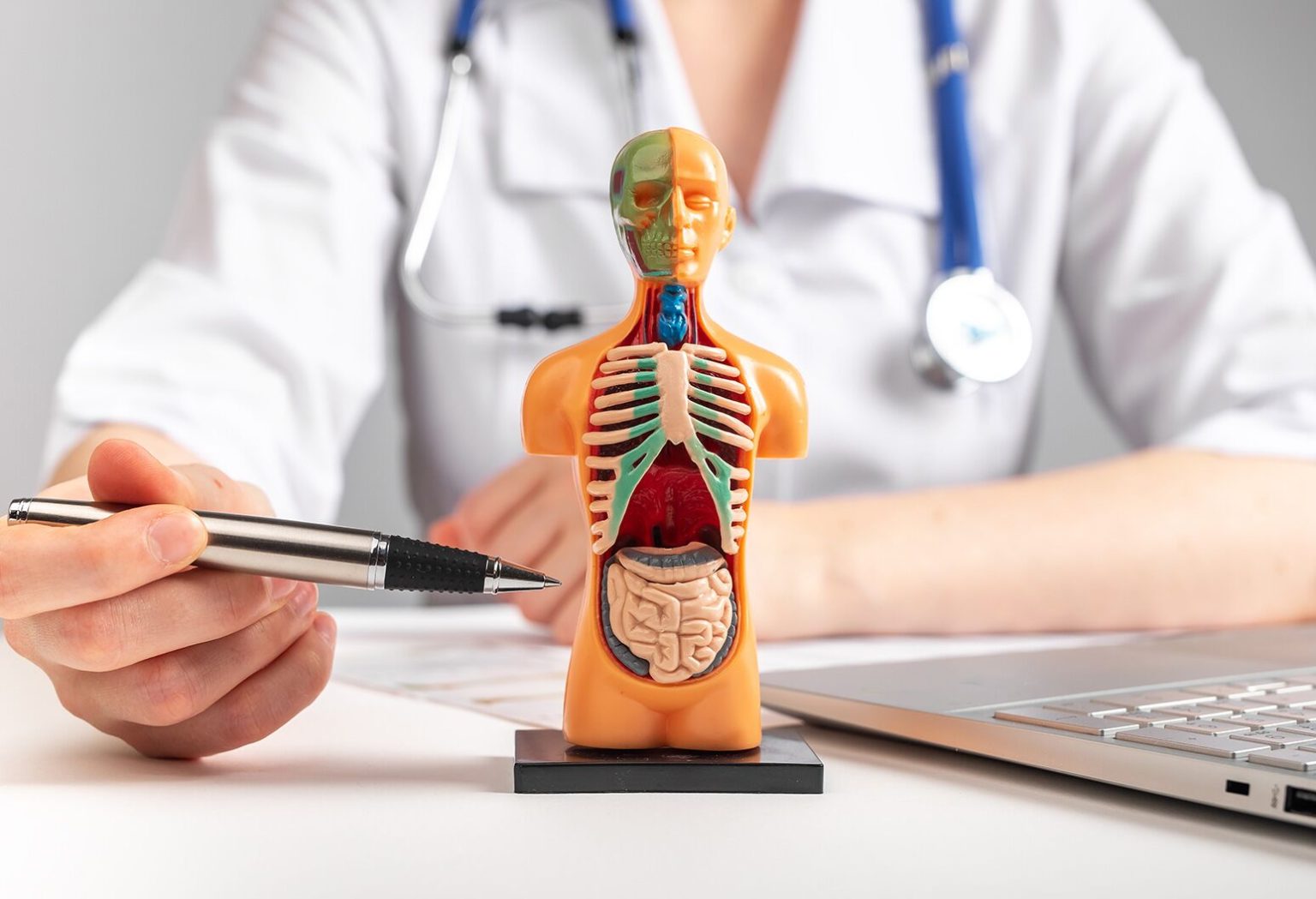 What Areas of Patient Care Does Internal Medicine Cover? Internal Medicine